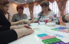Учителя Котельников освоили «Нумикон»