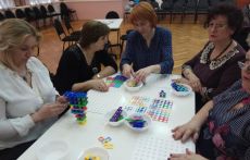 Учителя Котельников освоили «Нумикон»