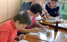 pic03444 05
