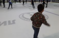 pic03463 05