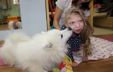 pic04172 04